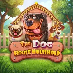 The Dog House Multihold game at PlayGrand Casino for United Kingdom players The Dog House Multihold game at PlayGrand Casino for United Kingdom players
